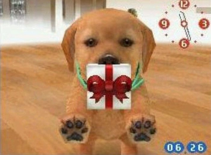 Nintendo DS, Nintendogs