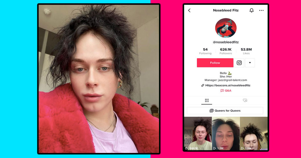NosebleedFitz TikTok follower count