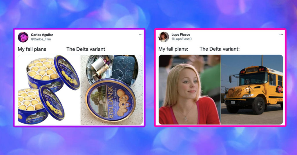 my fall plans the delta variant memes