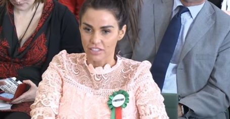 katie-price-parliament