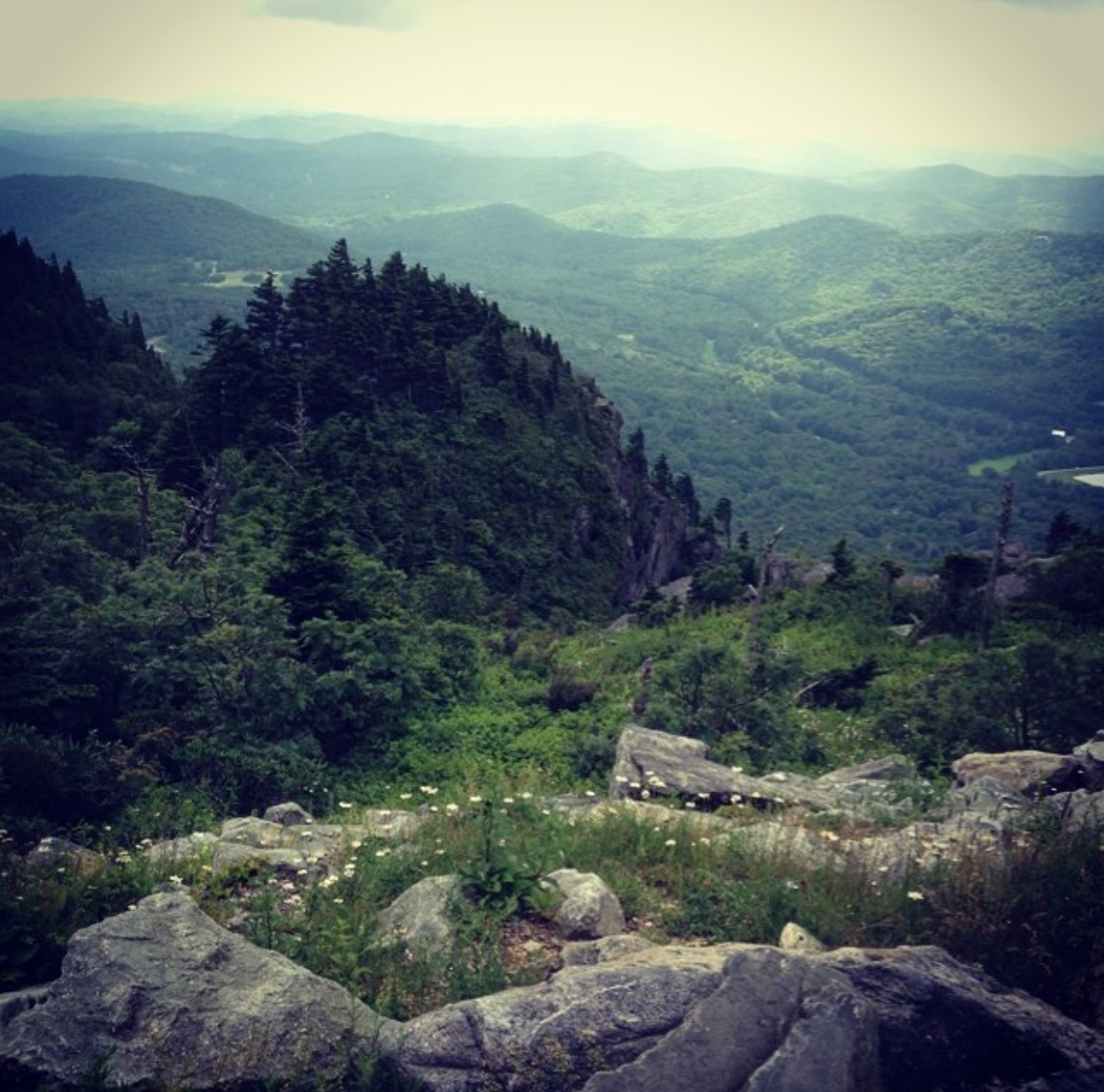 The southern portion of the Applachian Mountains, home of Sheepsquatch