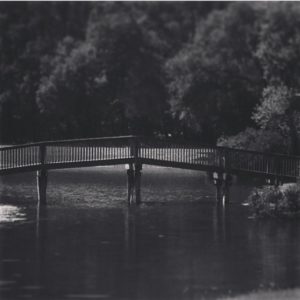 Will you cross over the bridge into the unknown?