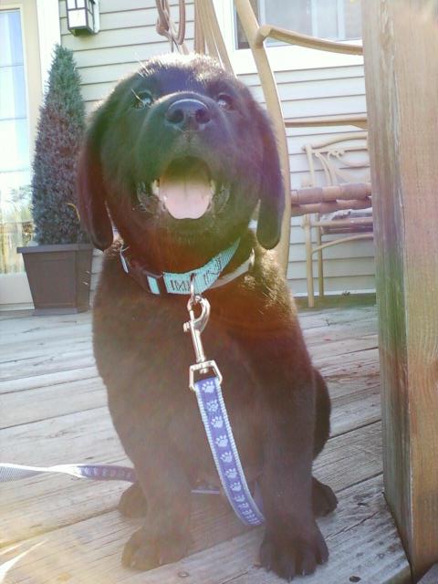 First day with Toby!