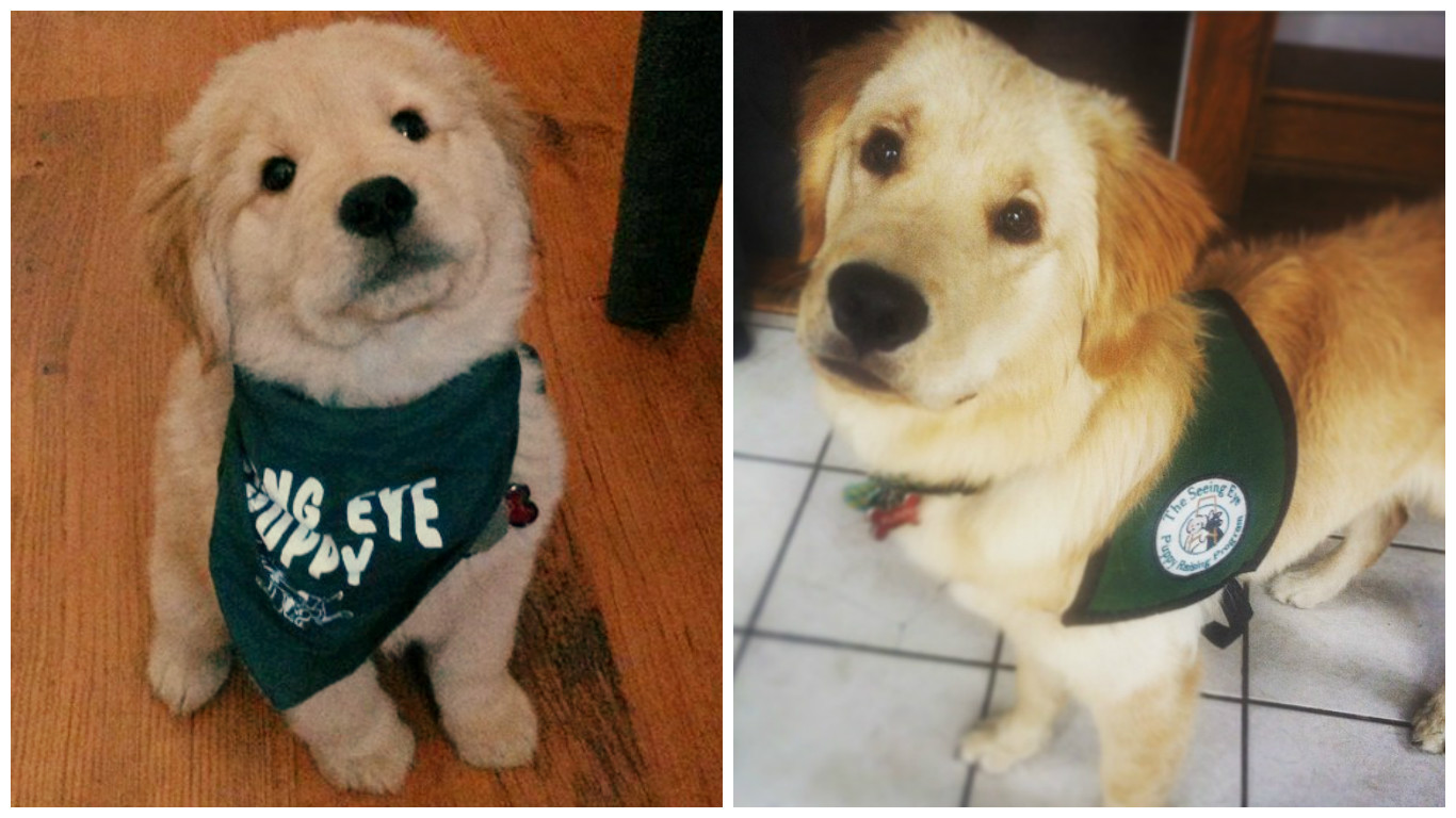 Flinn upgrading from his bandana to his vest!