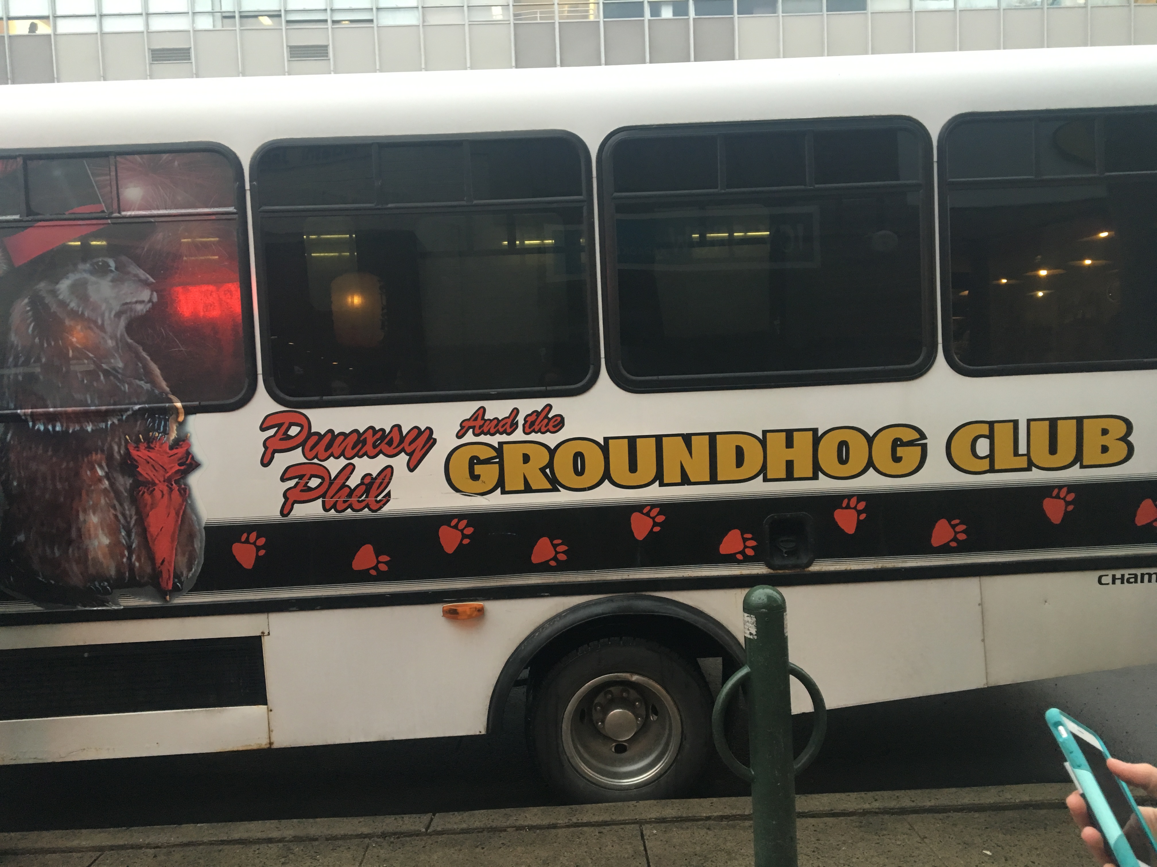 Punxsutawney Phil saw his shadow at Café last night