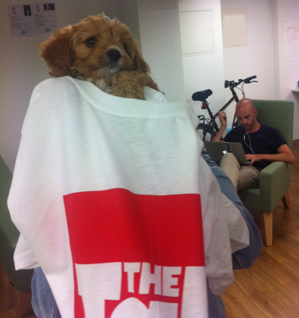 Tab dog 1 Charlie