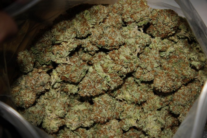Over half of all 16-29 year olds have tried weed...