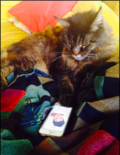 Everyone's on tinder these days