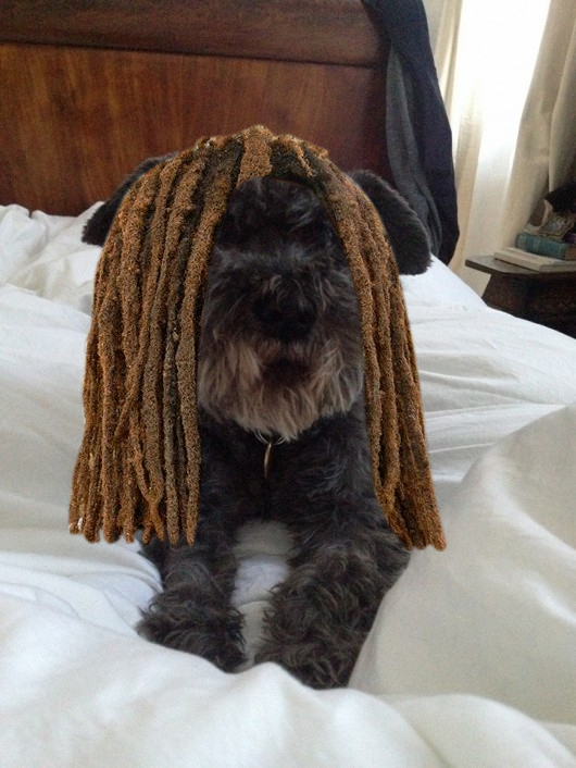 Ok, so we photoshopped the dreadlocks on