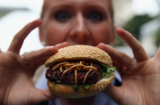 Our award winning Rentokil Pop Up Pestaurant