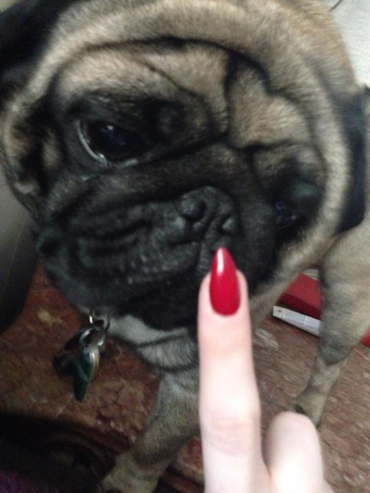 Please love me.