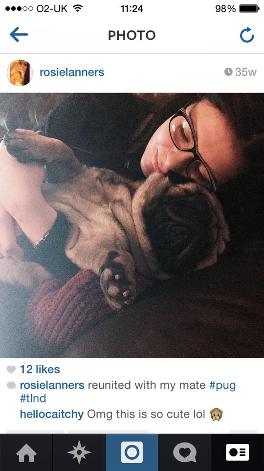 Raking in dem Instagram likes
