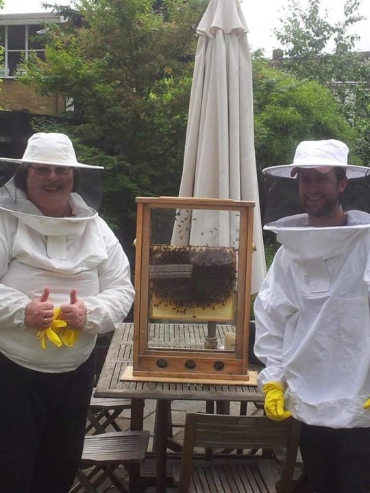 bee 1 (1)