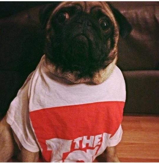 The Tab t-shirt was free so it all works out really.