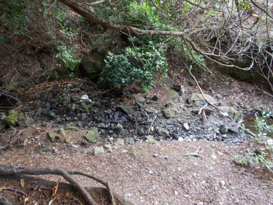 Where the Stark kids found their direwolves. Apparently. Who knows.