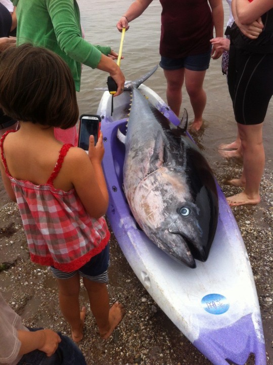 The fish was so big it barely fitted into the girls' kayak