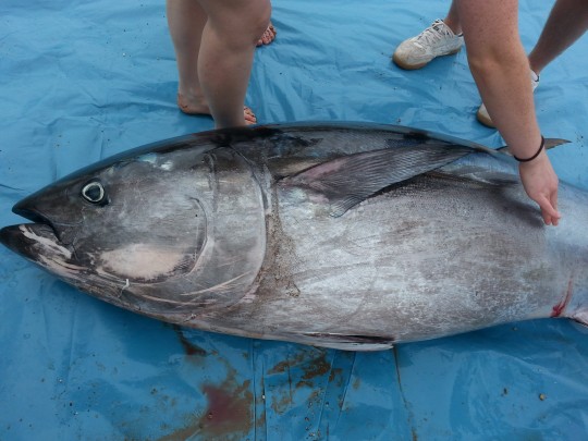 SW_TUNA_BEACH_10