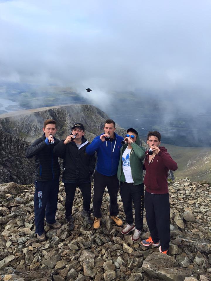 Birds and beers
