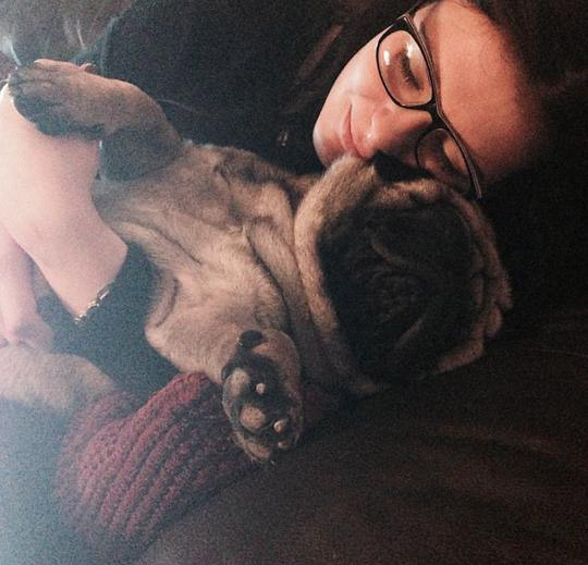 pug1