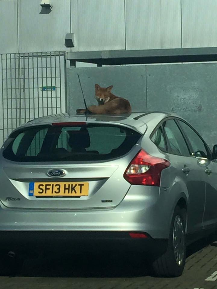 Just chilling