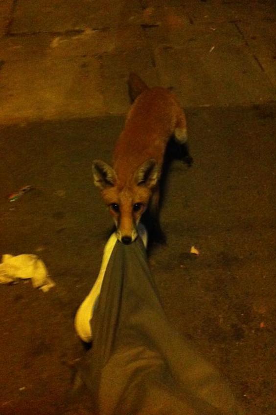Steve grabbed a photo of his new mate