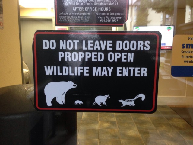 A bear getting inside is a genuine risk