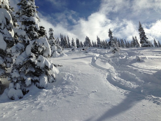 No greater feeling than shreeding knee-deep pow.