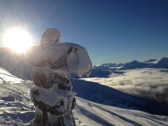 You live for Bluebird pow days
