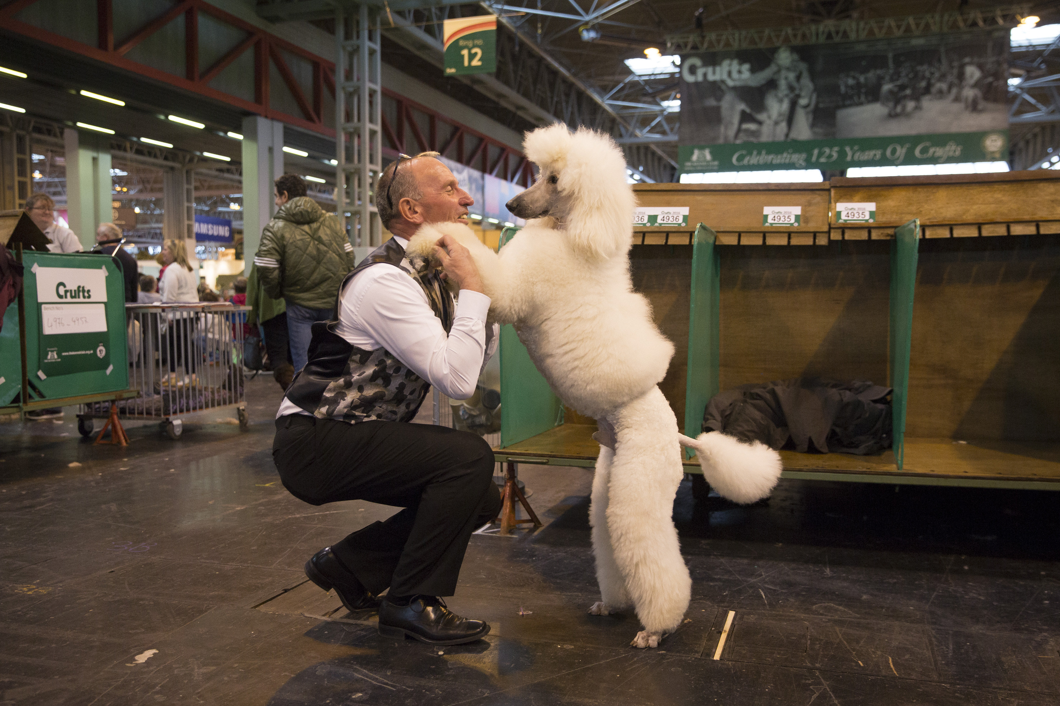 A man talks to his standard poodle at Crufts 2016 at the NEC in Birmingham. March 10 2016.