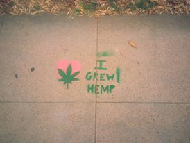 Everyone's fave tag in Venice!