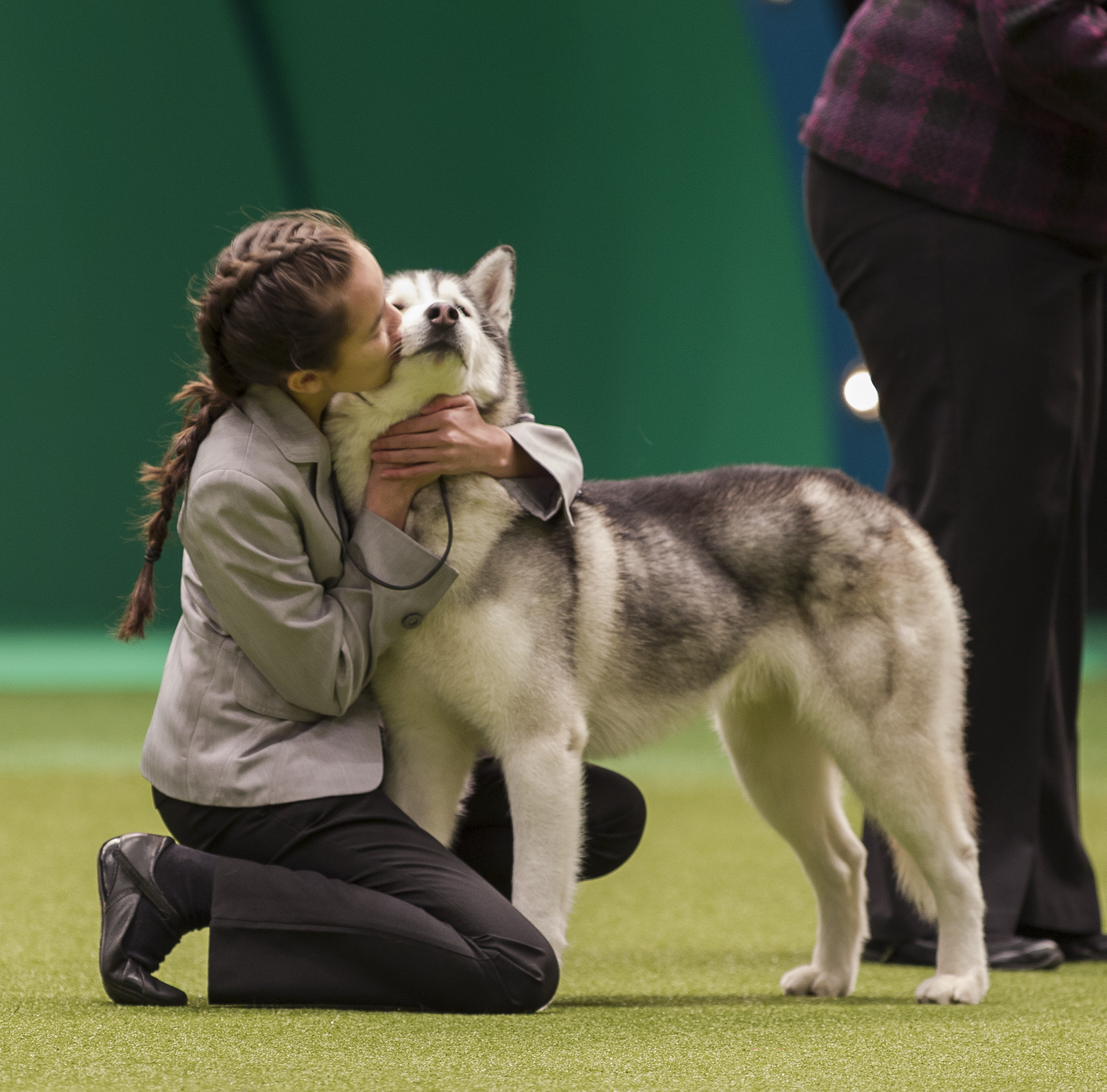 The Worlds Greatest Dog Show Junior Warrant