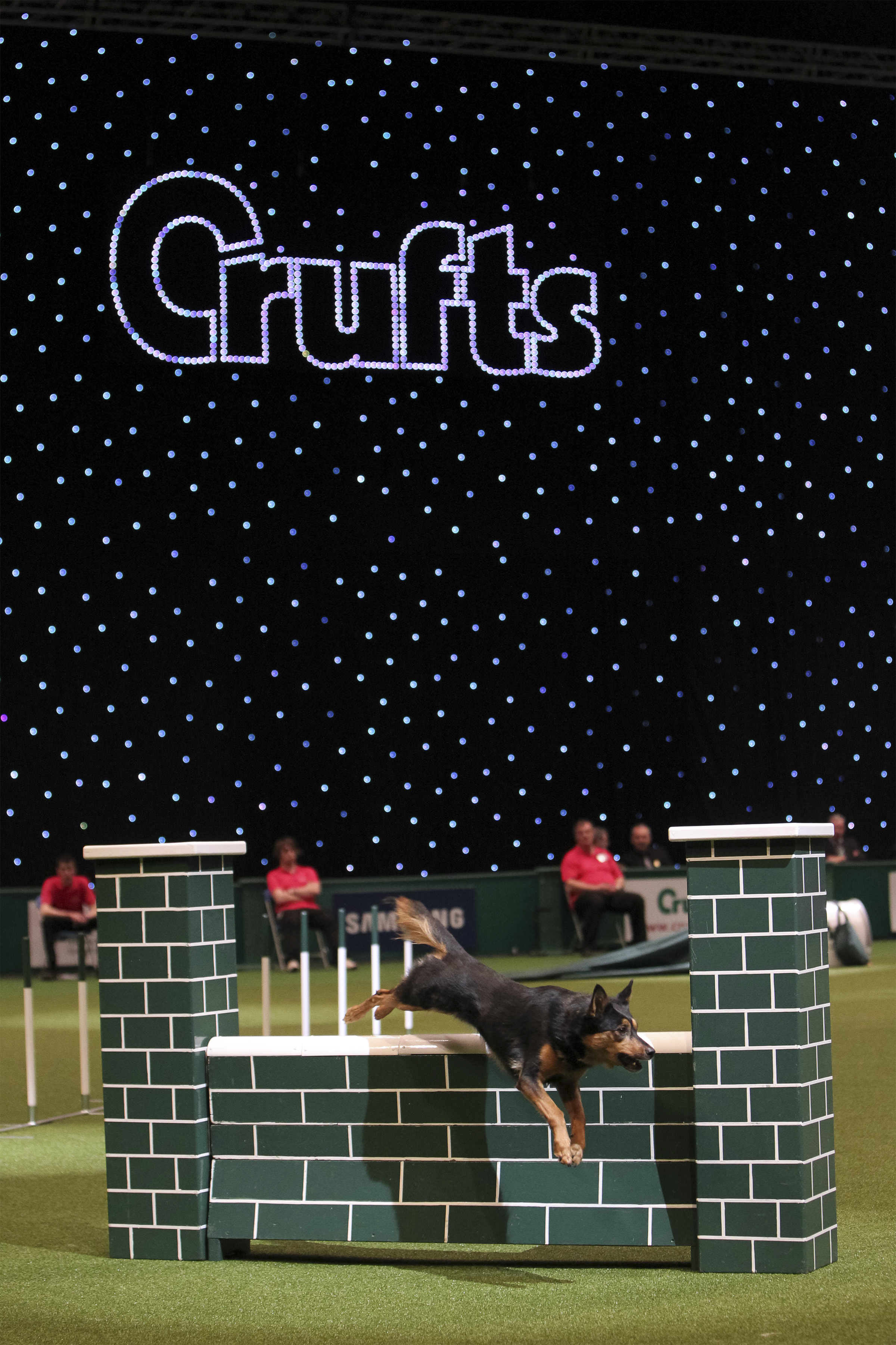 crufts12LCE_09_1526_20122782