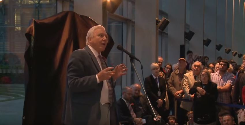 Sir David announcing his candidacy to a packed room yesterday evening
