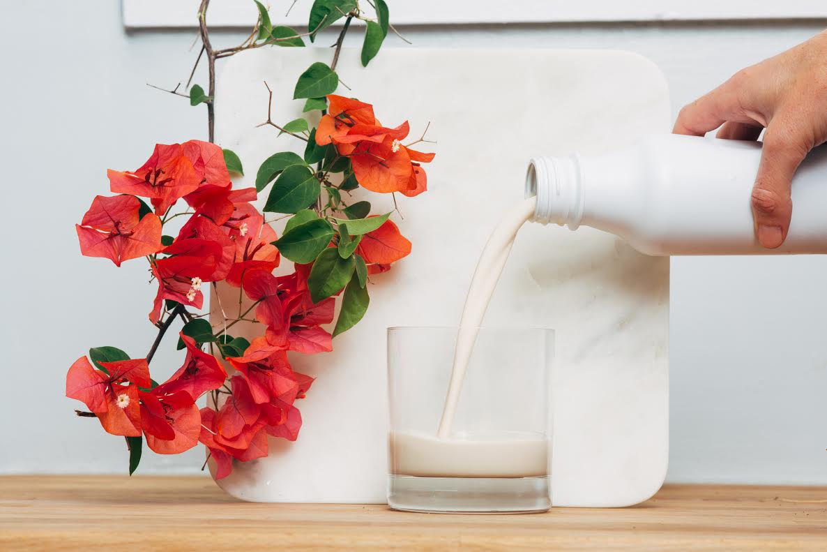 soylent