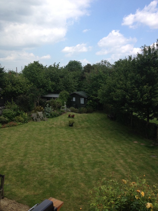 Seen: the freshly cut grass. Not seen: the cloud of pollen ready to ruin your day.