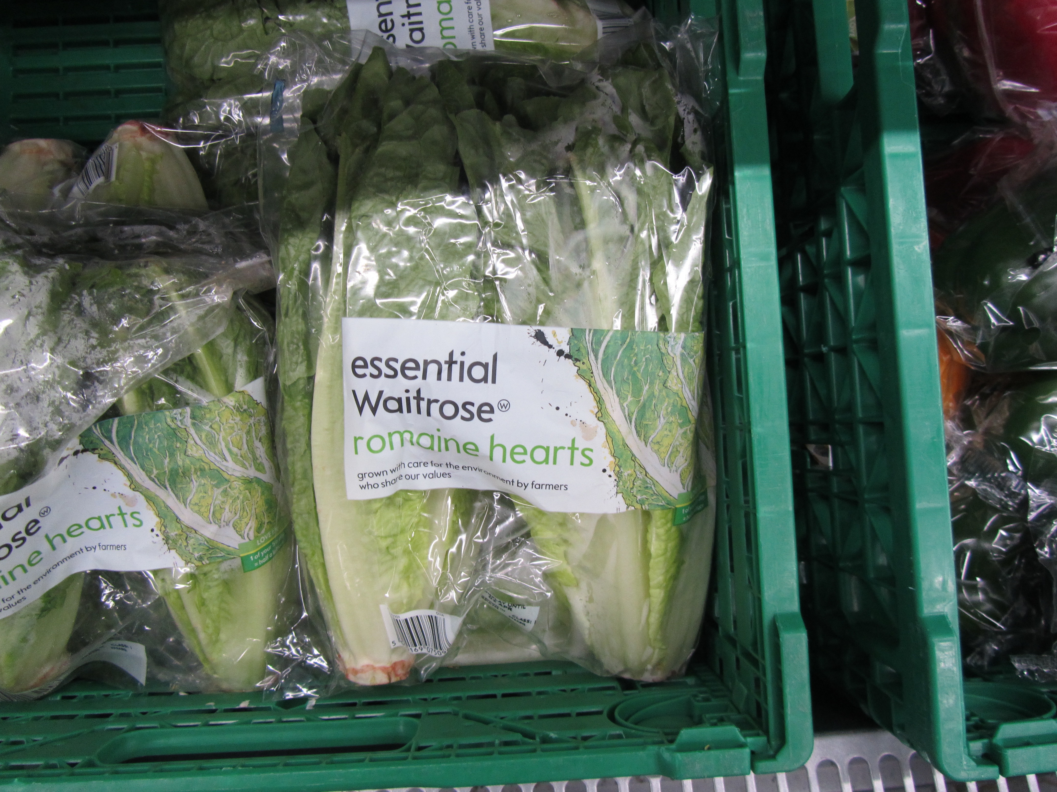I guess if you put some dressing on this it's basically cabbage