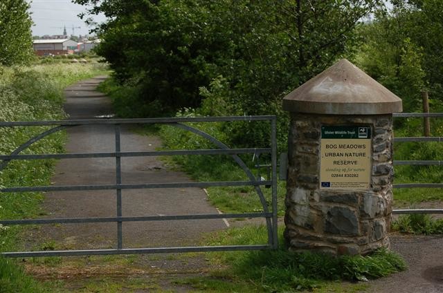The_Bog_Meadows_-_geograph.org.uk_-_444390