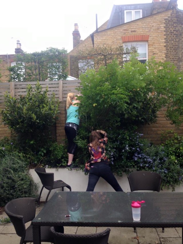 Sunday gardening