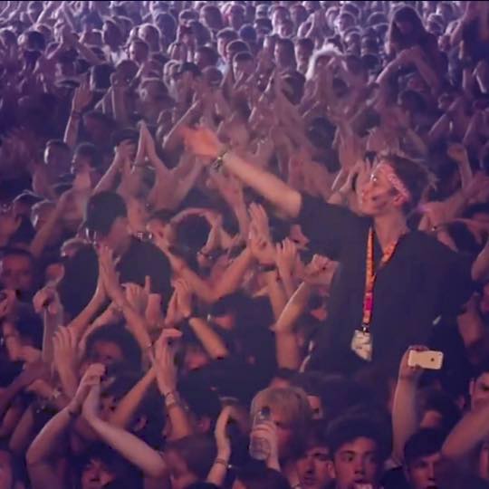 FOALS SECRET SET